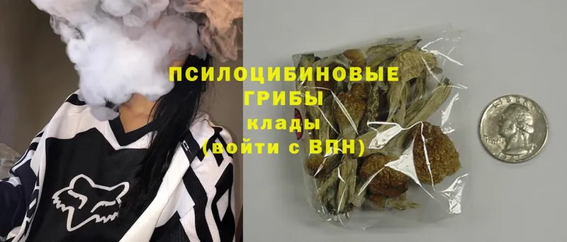 МЕГА онион  Калтан  Псилоцибиновые грибы MAGIC MUSHROOMS 